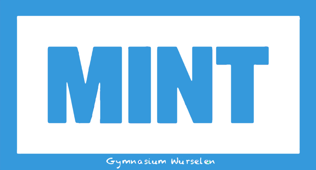 MINT-Tag 2019