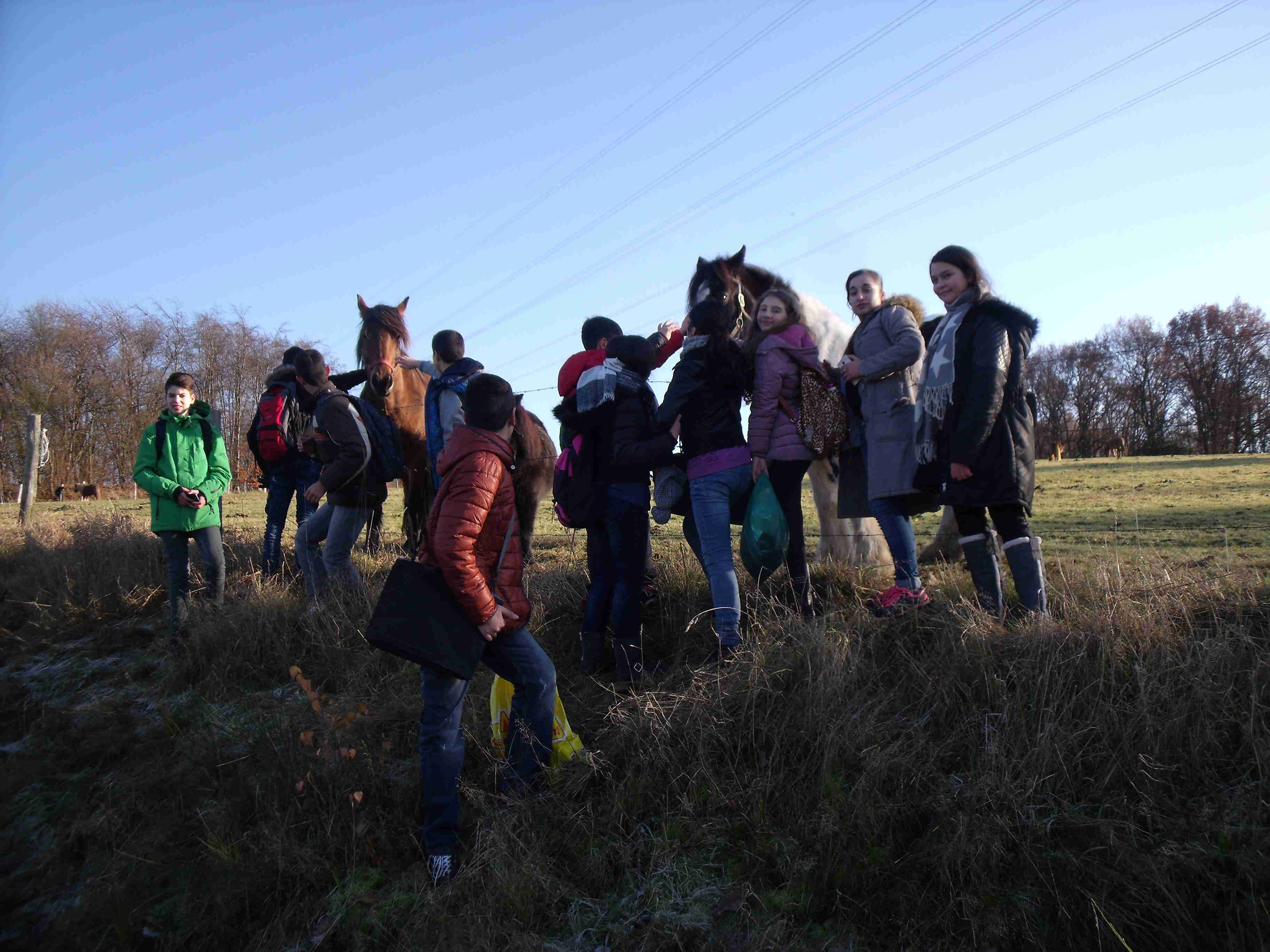 Featured image for “Internationale Klasse – Unser Ausflug auf den Bauernhof”