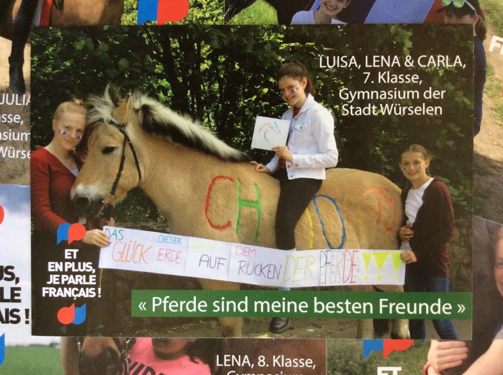 Aix-la-Chapelle im Pferde-Fieber! Nur noch wenige Tage bis zum CHIO...!